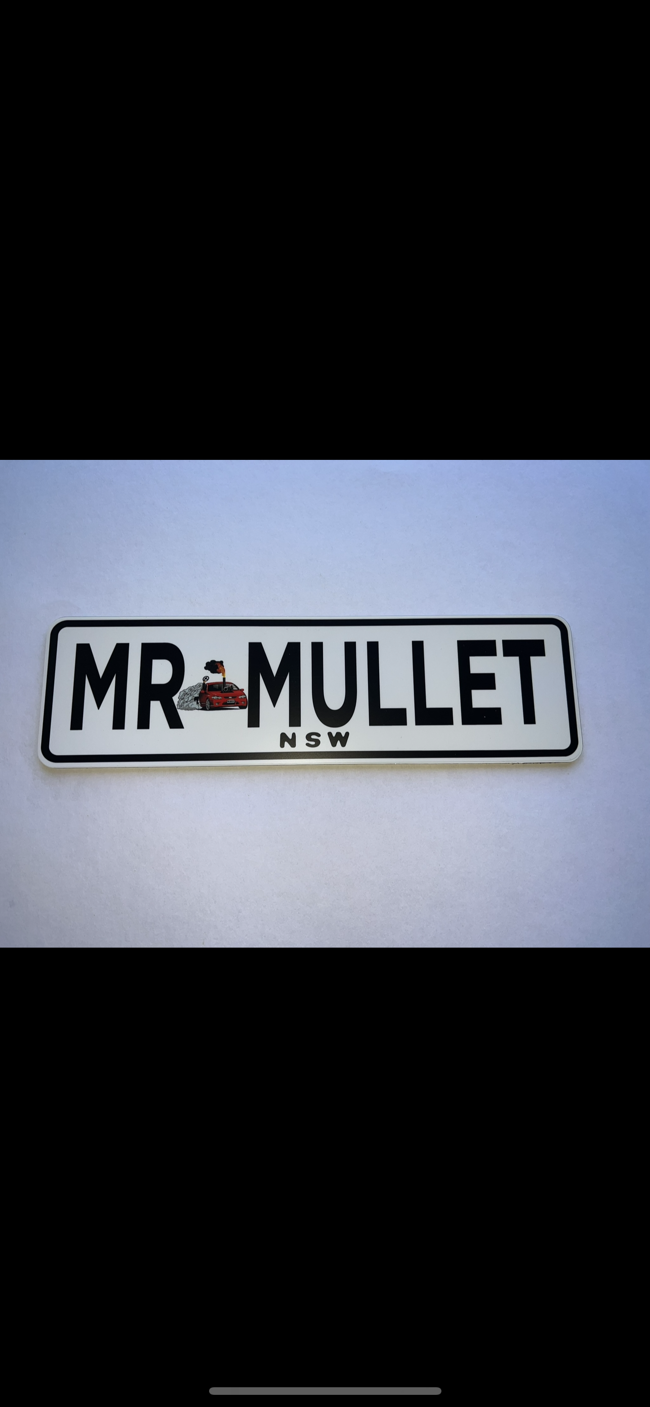 MR.MULLET number plate